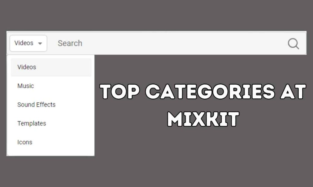 Top Categories At Mixkit