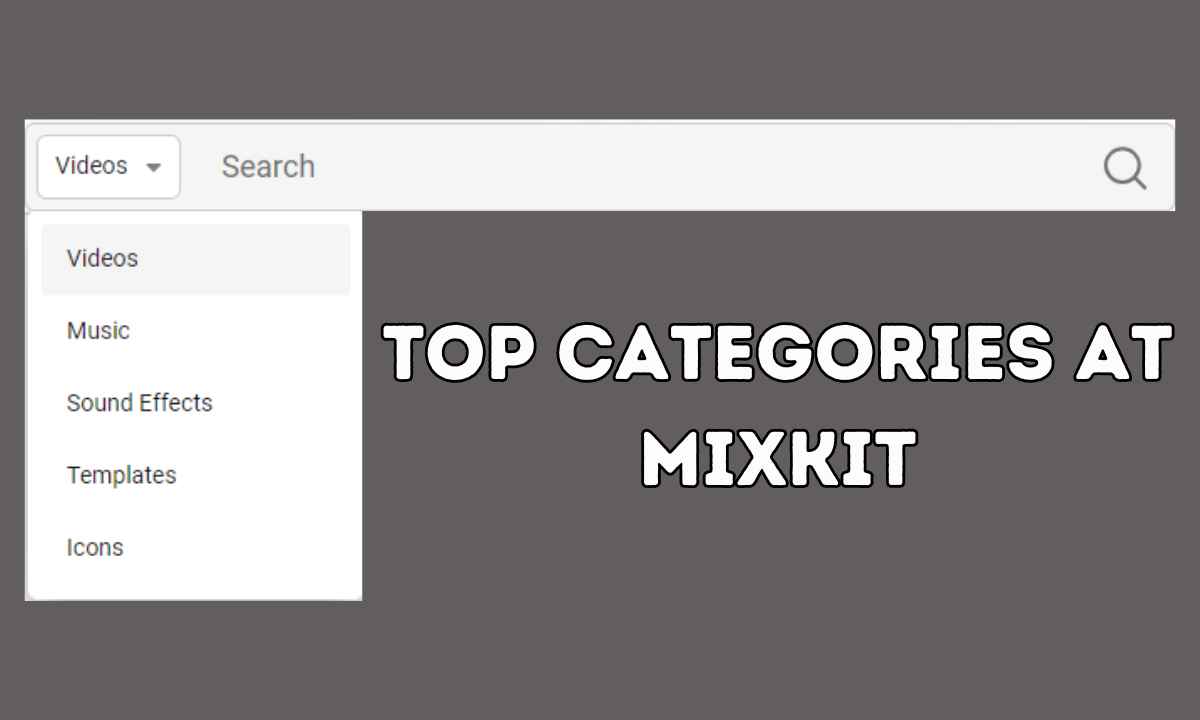 Mixkit: Get Access To Free Videos Music Sound Effects Projects Mixkit: Get Access To Free Videos Music Sound Effects Projects
